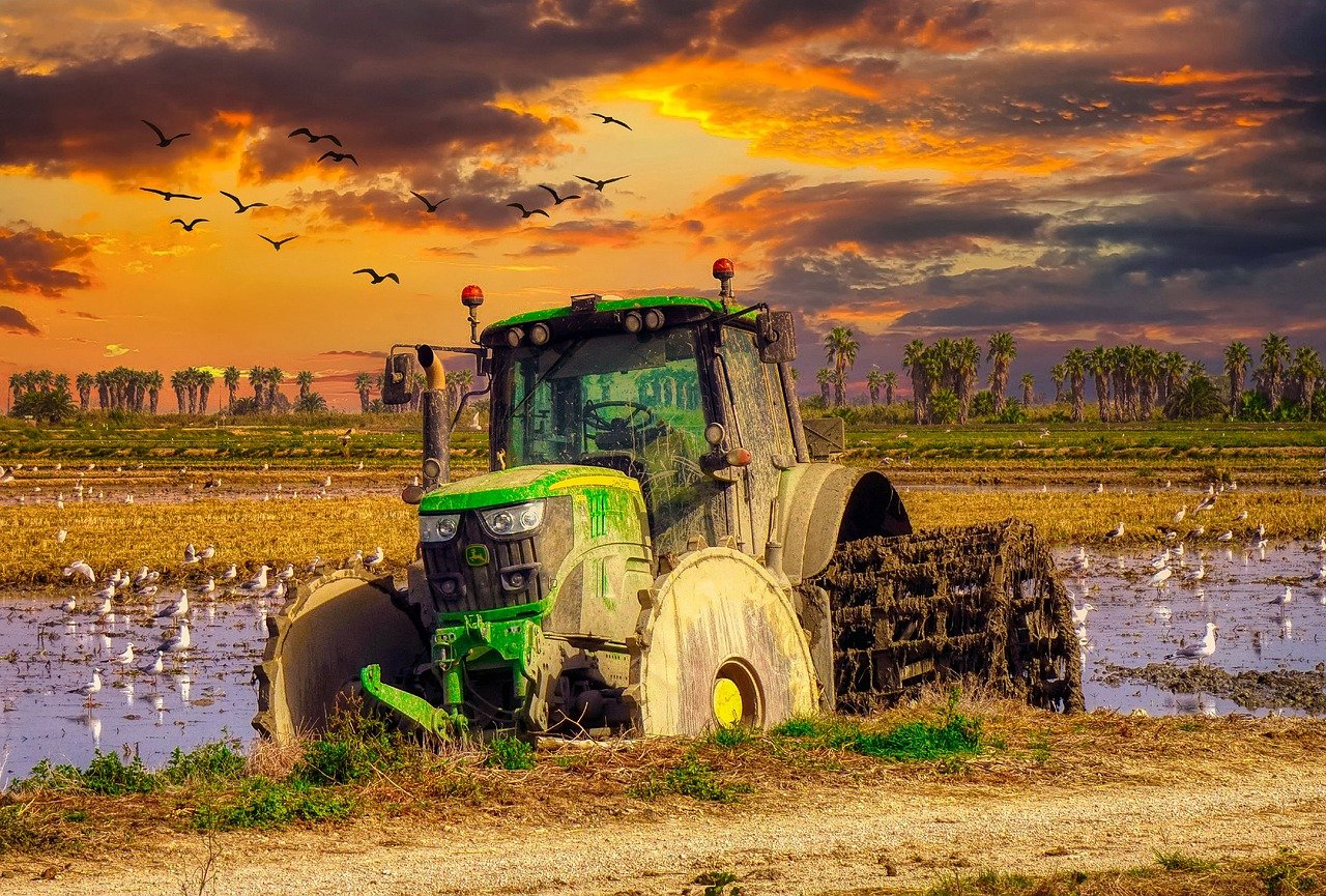Eco-Friendly Fertilizers - Are They Worth the Investment?